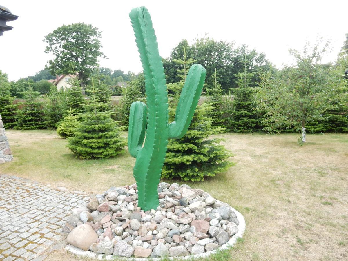 Kaktus Holiday home *