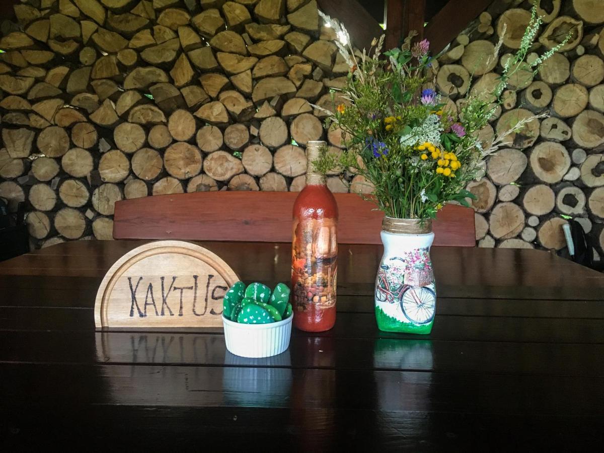 Kaktus Holiday home *